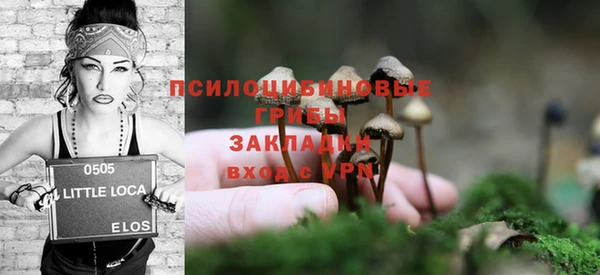 спайс Бородино