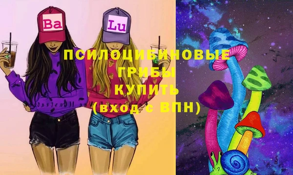 спайс Бородино