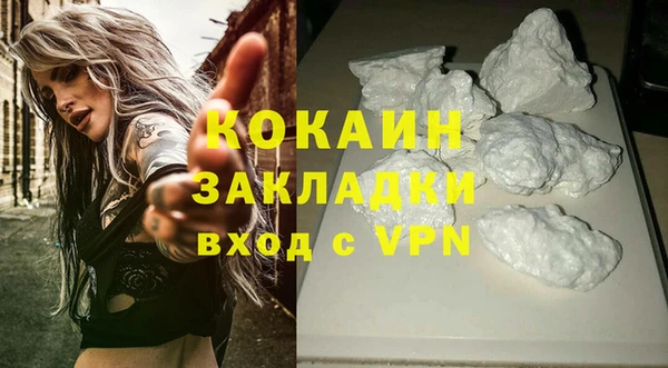 твердый Богородск