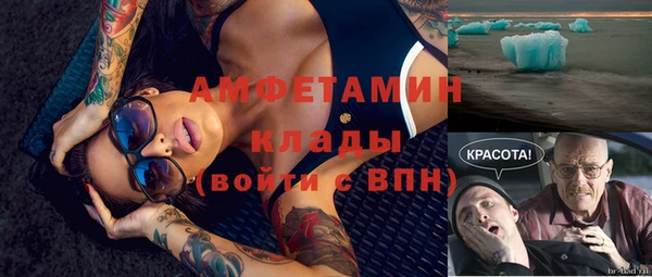 ПСИЛОЦИБИНОВЫЕ ГРИБЫ Белокуриха